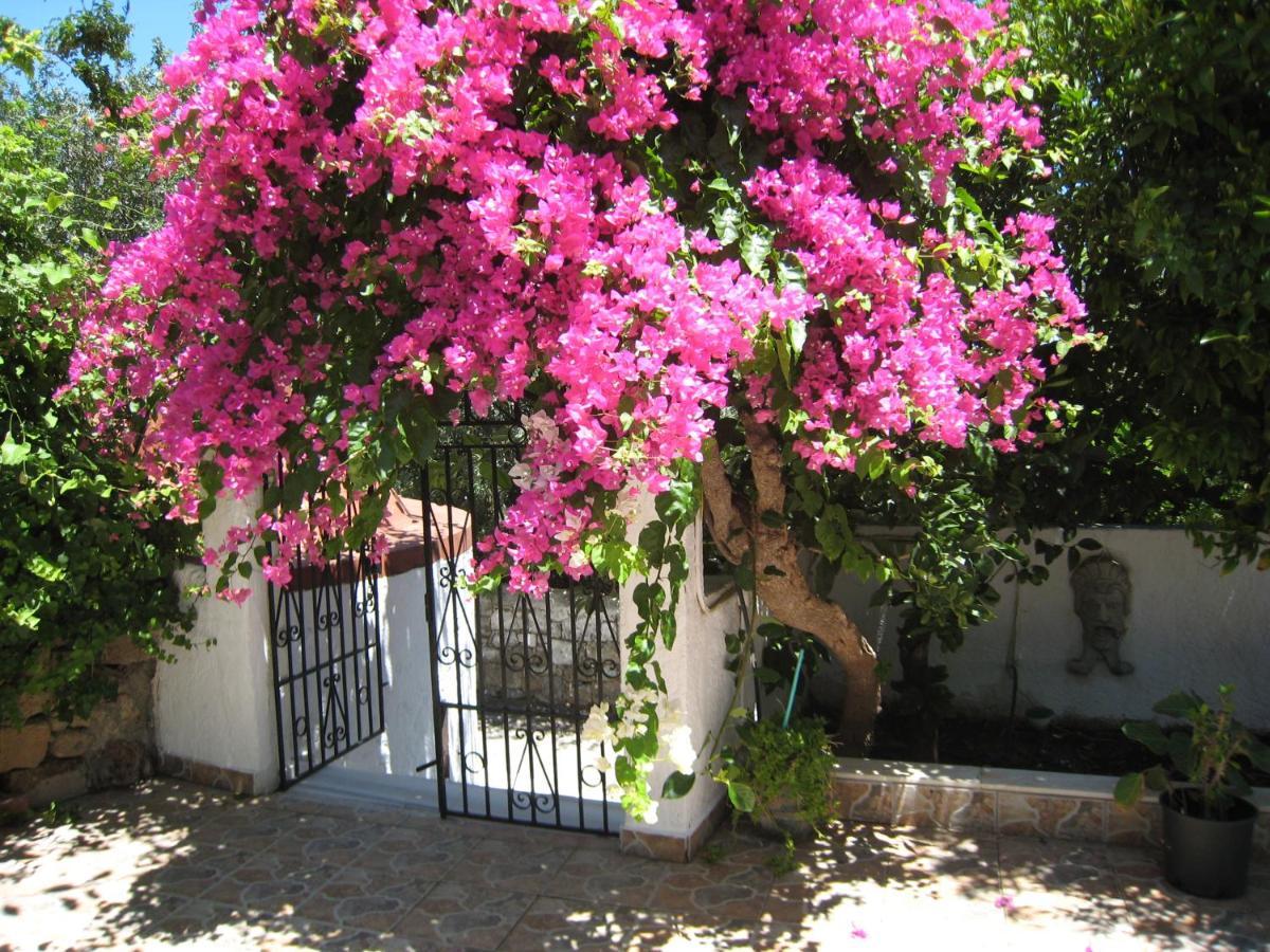 Eleftheria Lindian Studios I Lindos  Bagian luar foto