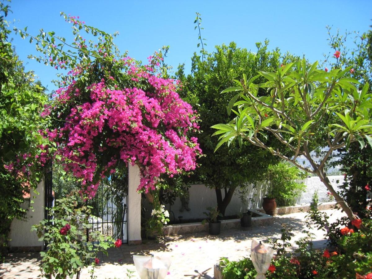 Eleftheria Lindian Studios I Lindos  Bagian luar foto